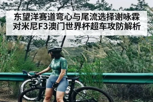 东望洋赛道弯心与尾流选择谢咏霖对米尼F3澳门世界杯超车攻防解析 | ayx